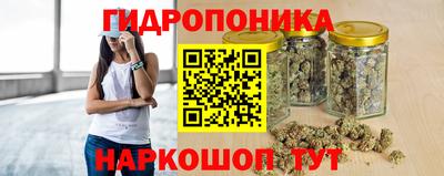 трава Гусь-Хрустальный