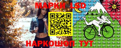 стаф Гусев