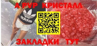 стаф Гусев