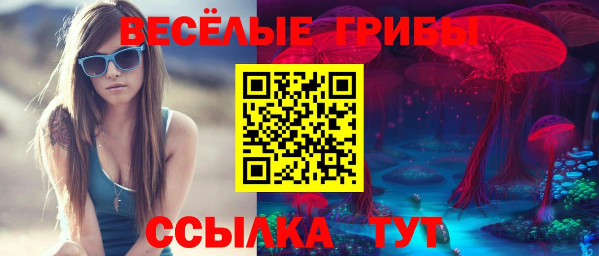 Медногорск  Галлюциногенные грибы мухоморы  Вход с VPN 