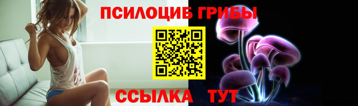 Галлюциногенные грибы Psilocybe Медногорск